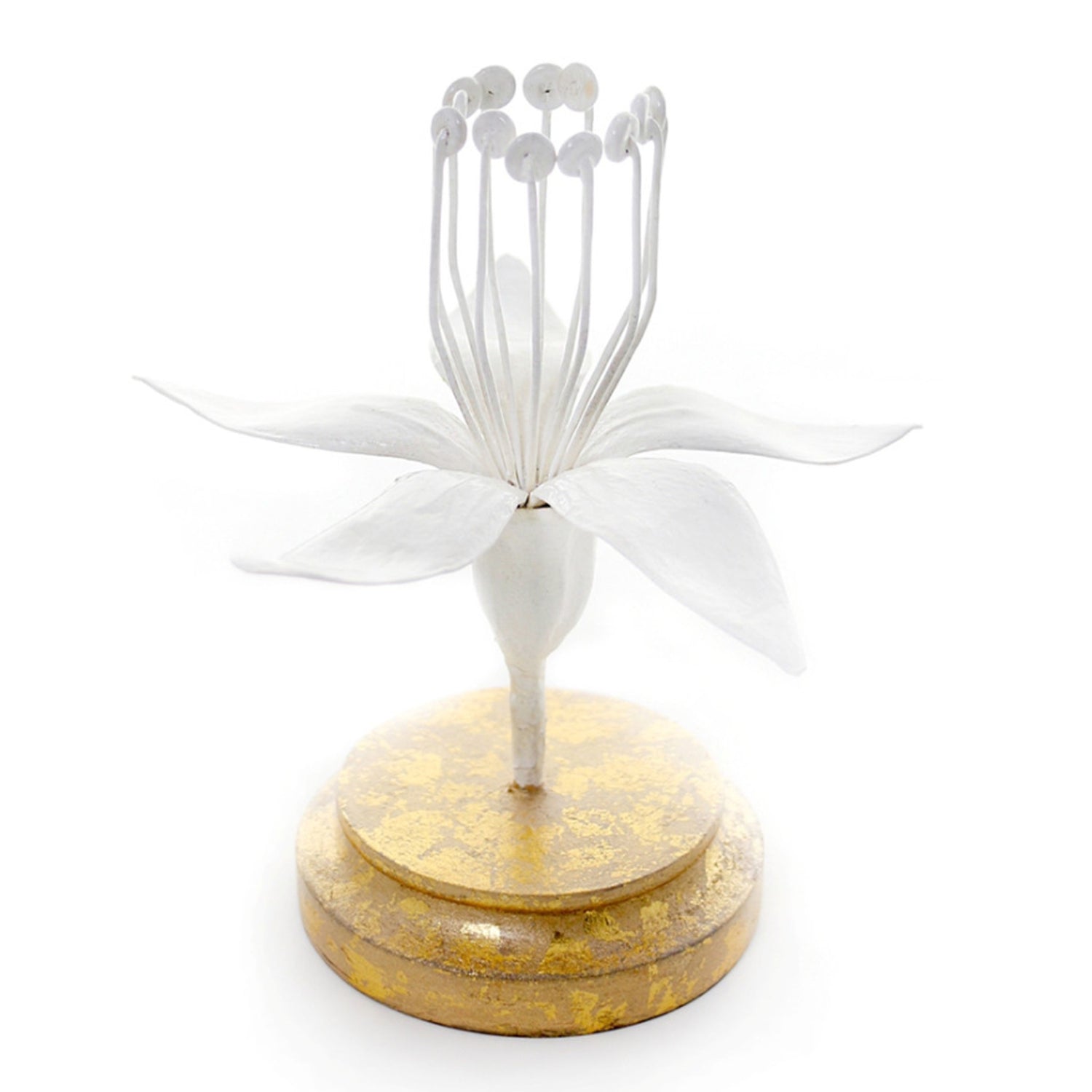 Botanical Model, Bitter Orange, 6"h
