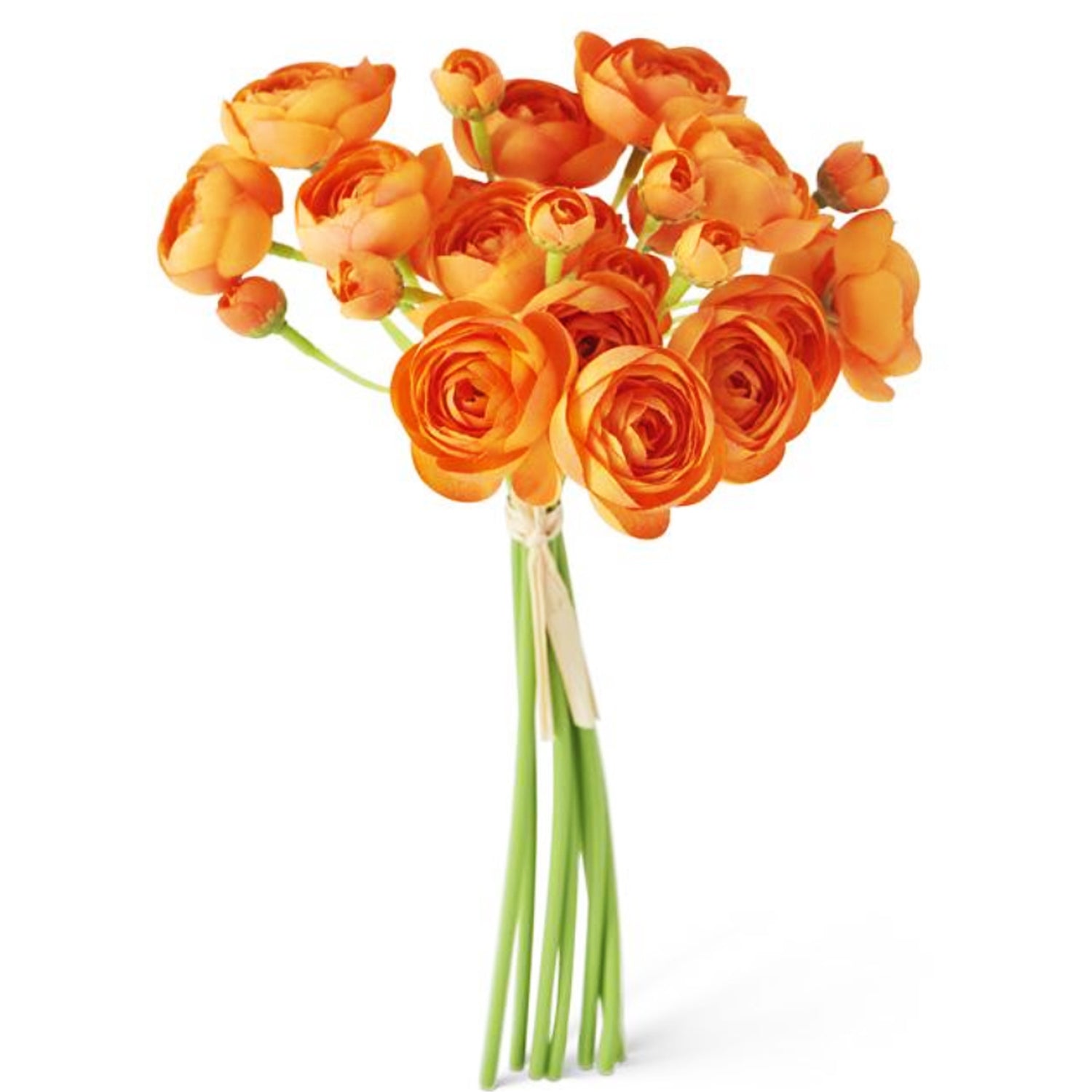 Ranunculus Bundle of 7, Orange