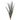 Fountain Grass Bush, 24"L
