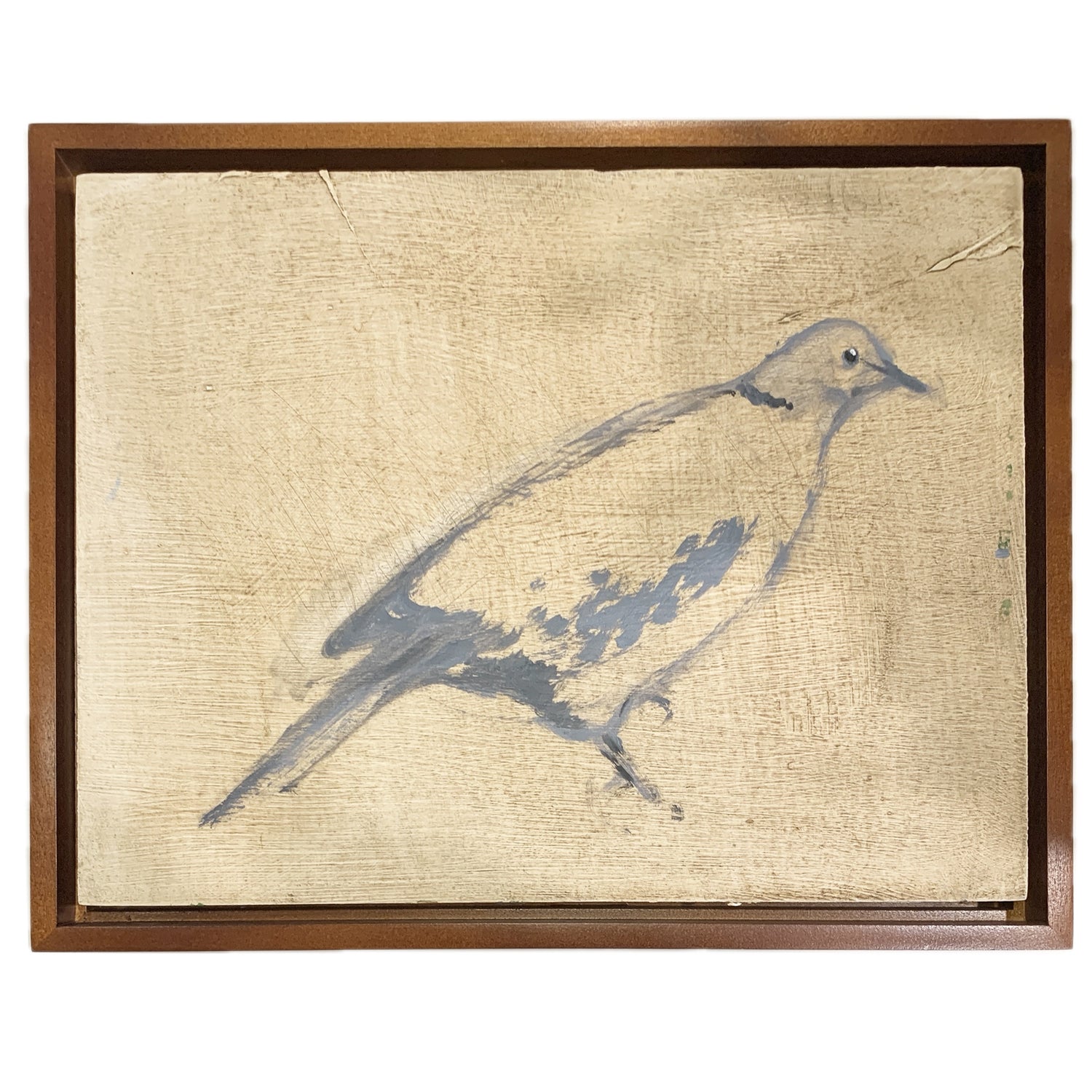 Dove, 2026, Jill Michell, oil on wood panel, framed