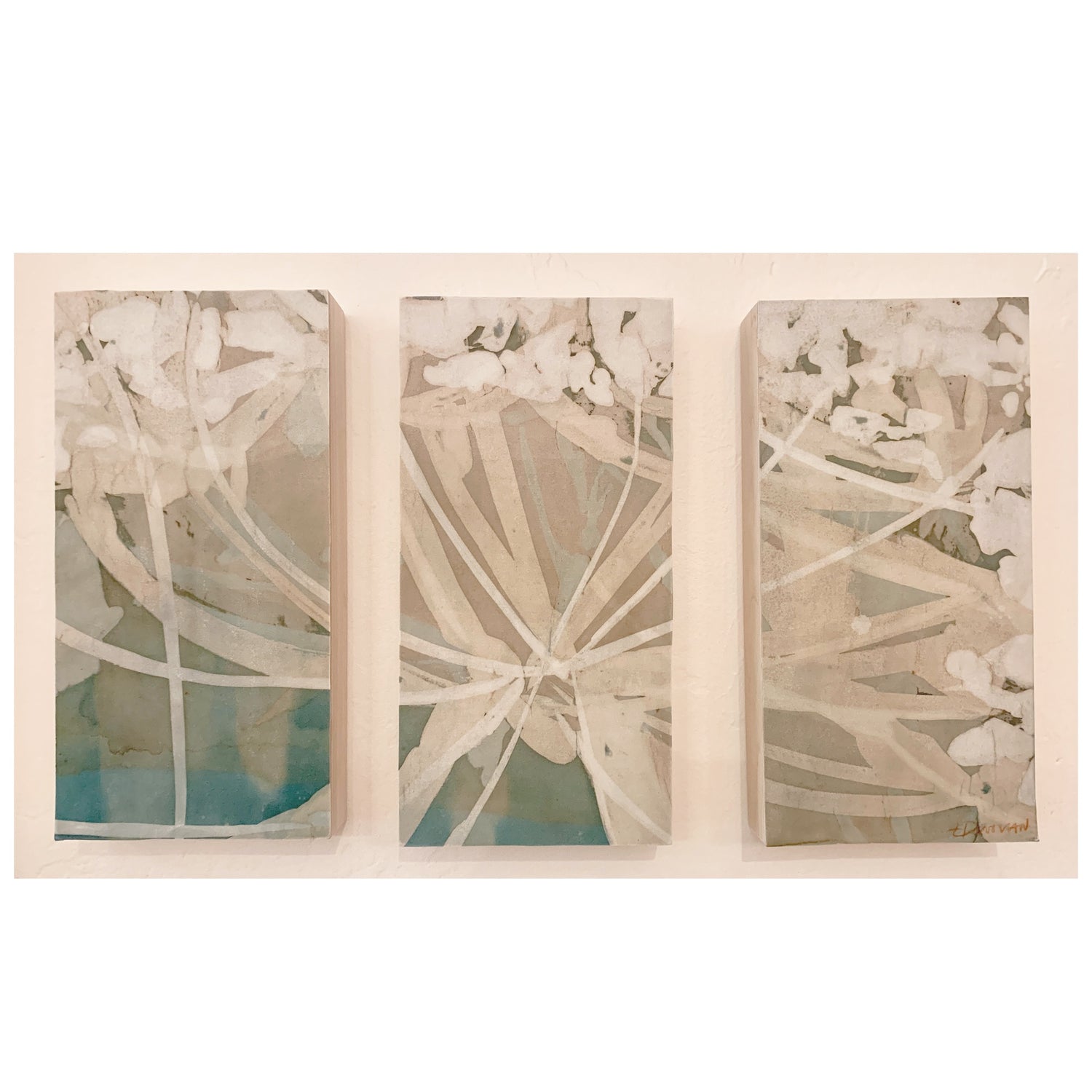 Queen Anne's Lace Triptych, Emily Donovan, Natural Dye and Pigment on Paper, Framed in Poplar