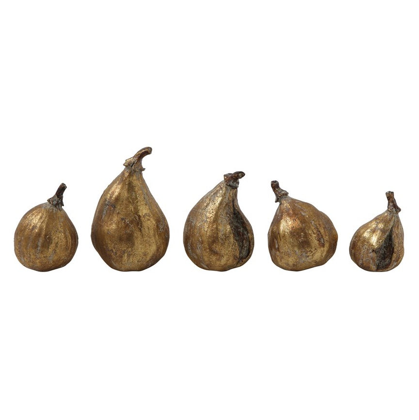 Gold Fig