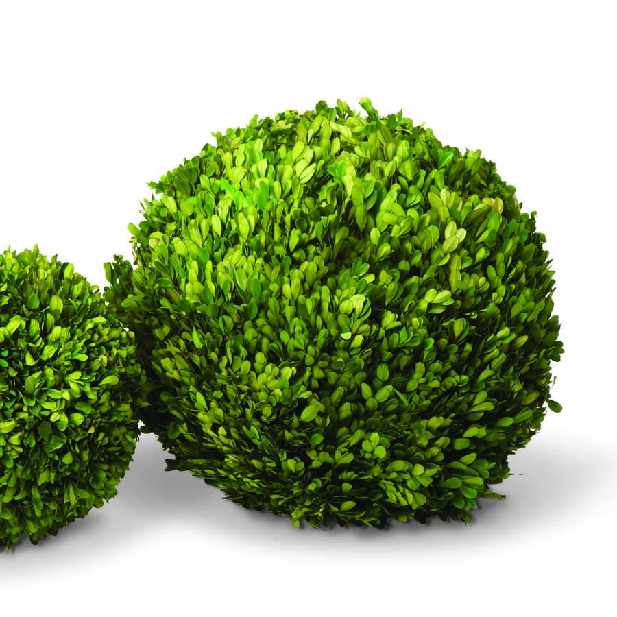 Boxwood Ball