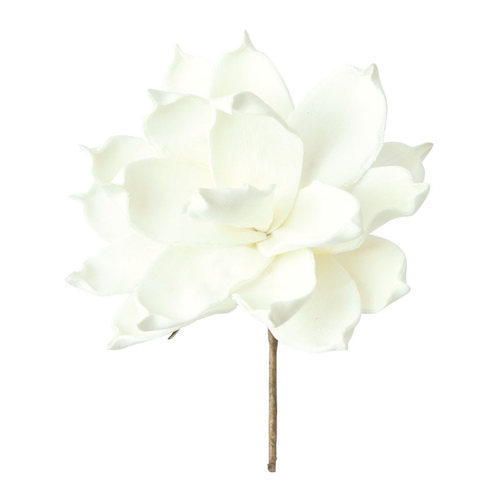 White Magnolia with Short Stem