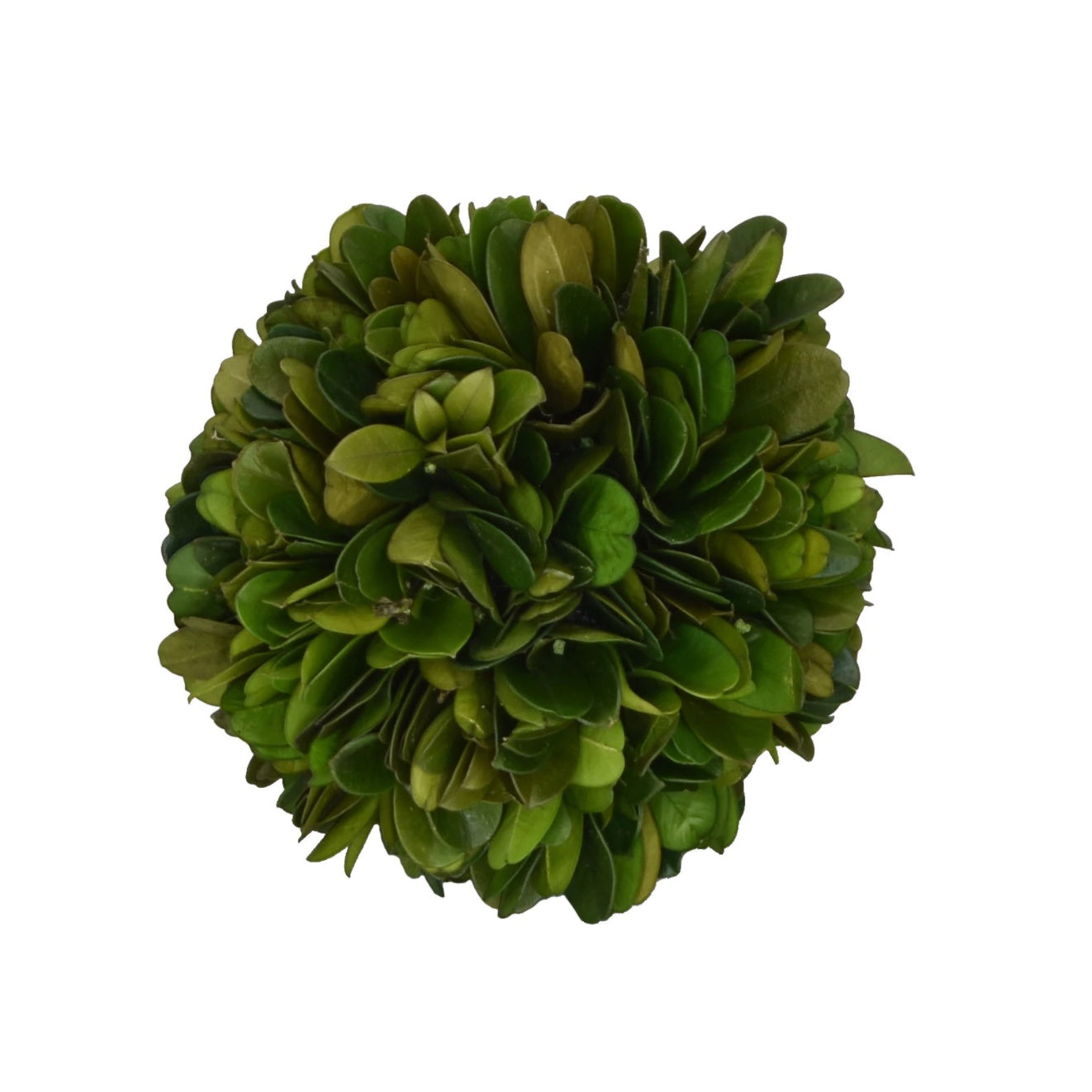 Boxwood Ball, 4"
