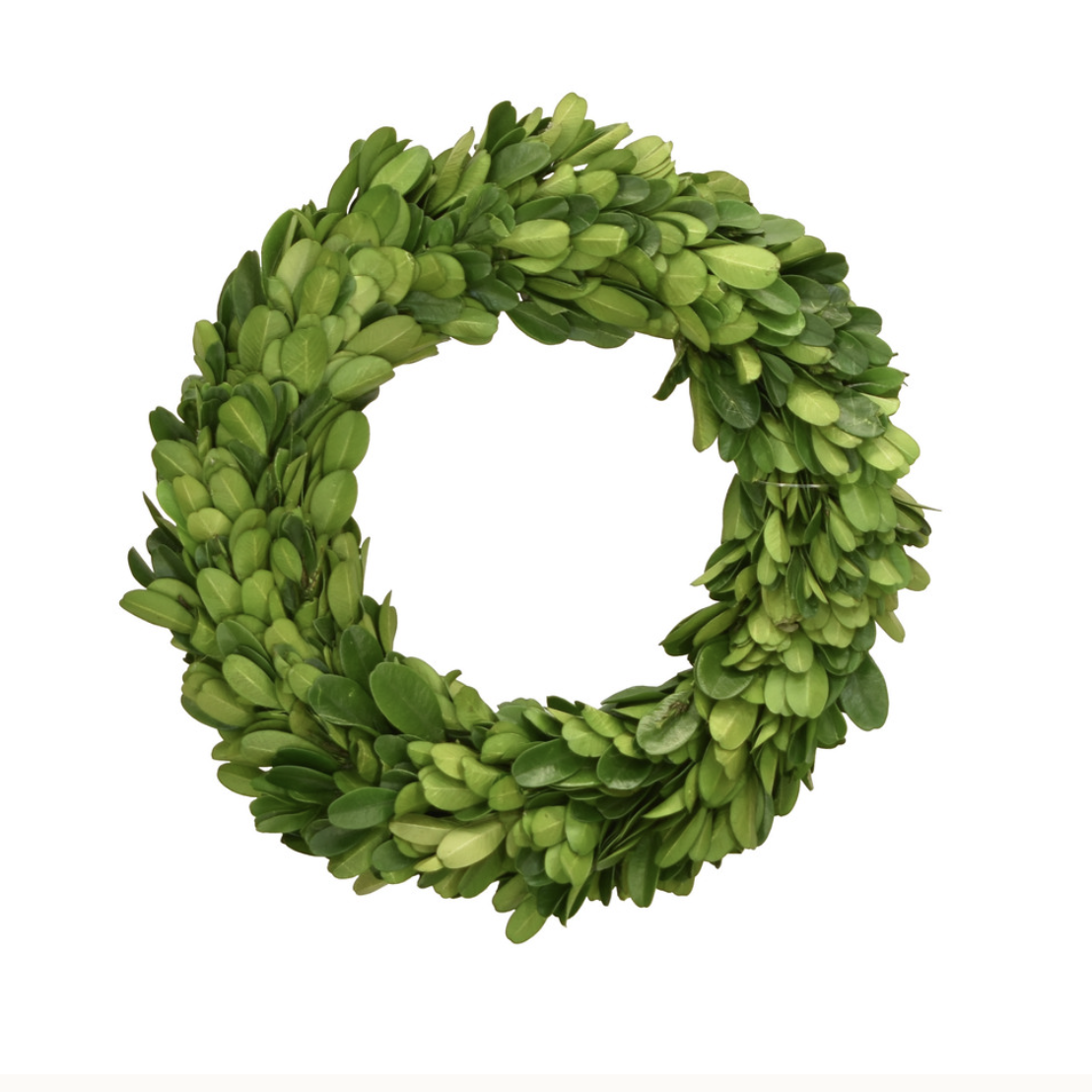 Boxwood Candle Ring, 8"dia