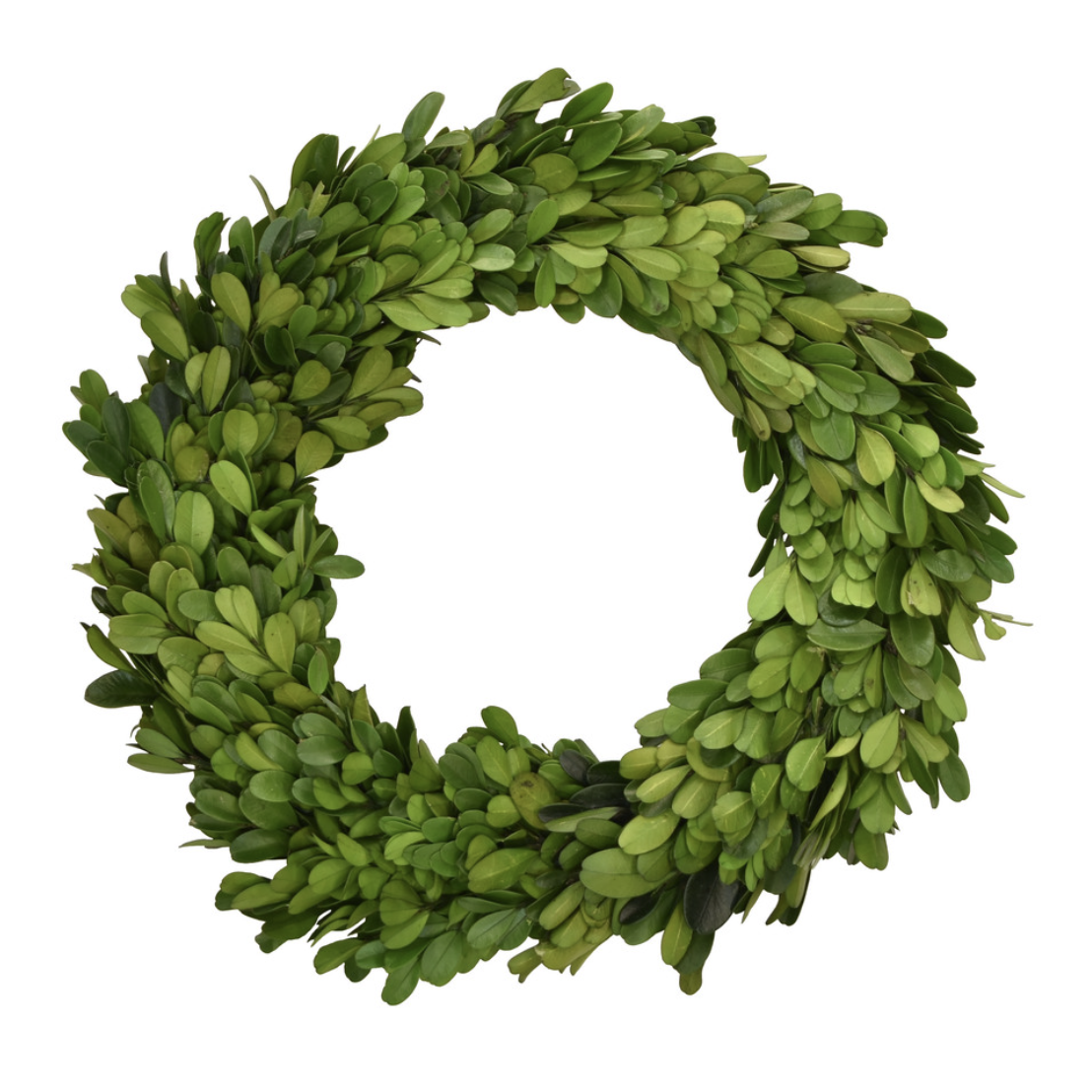 Boxwood Wreath, 10"dia
