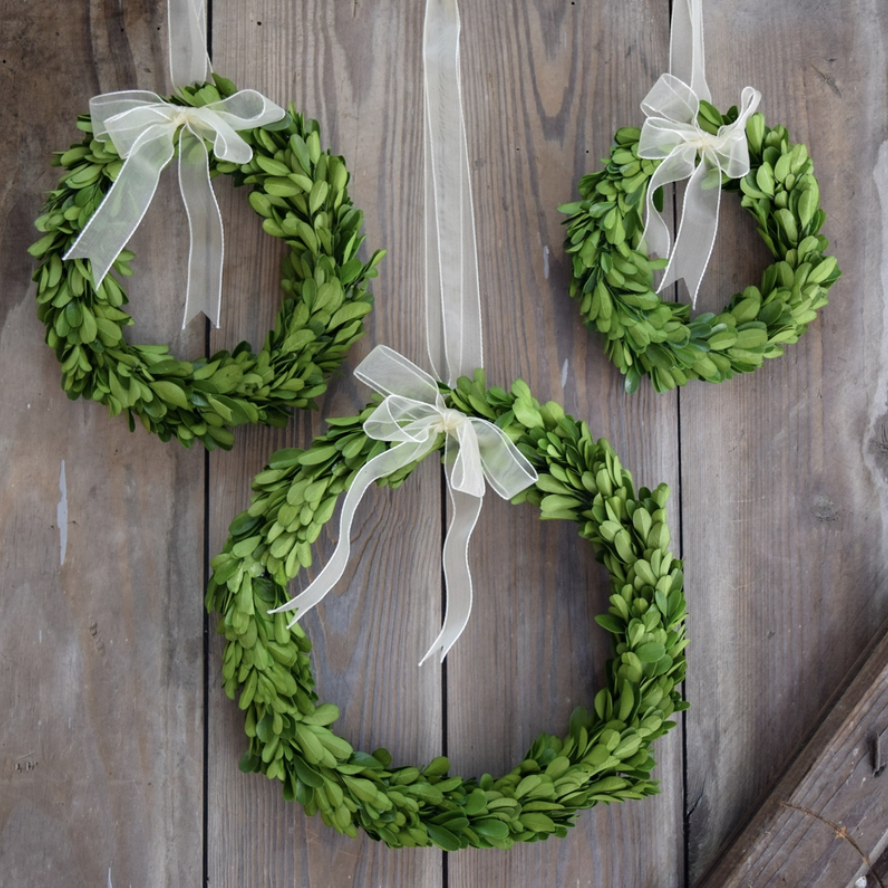 Boxwood Wreath with Ribbon, 6"