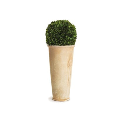 10" Boxwood Ball in Tall Terracotta Pot