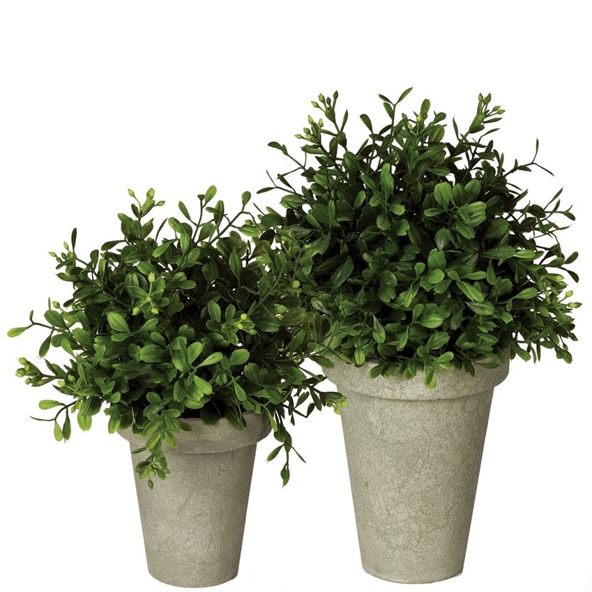 Boxwood Orb Pot, 9"