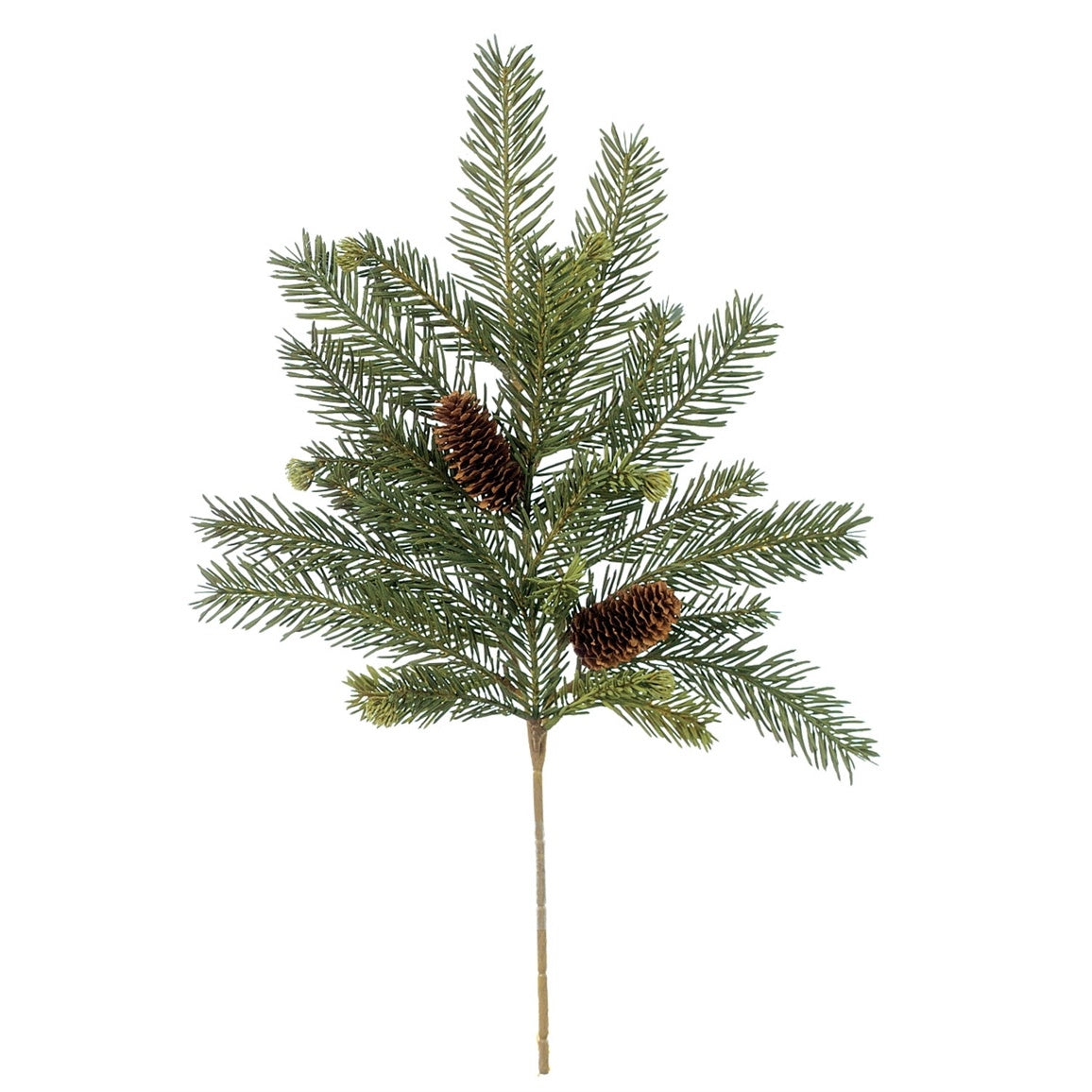 Alpine Fir Stem