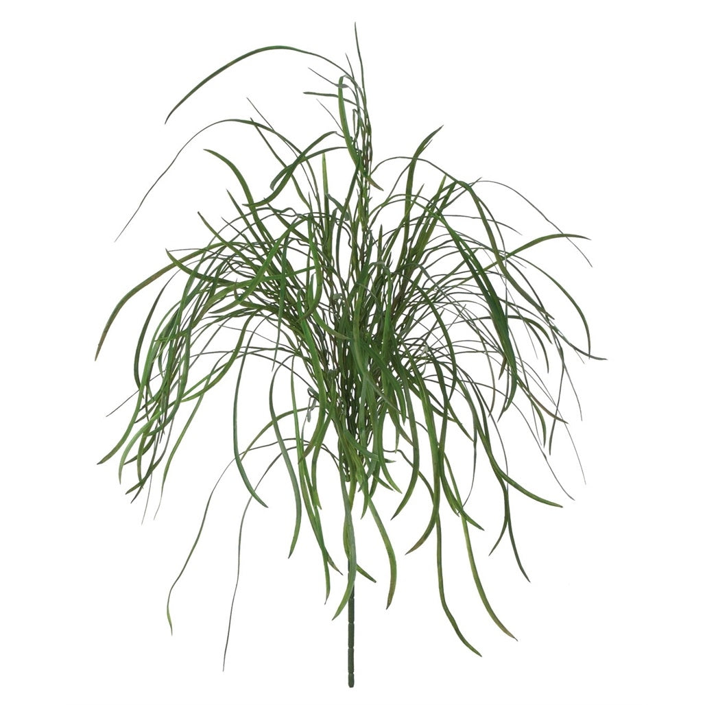 Pearl Grass, Dark Green