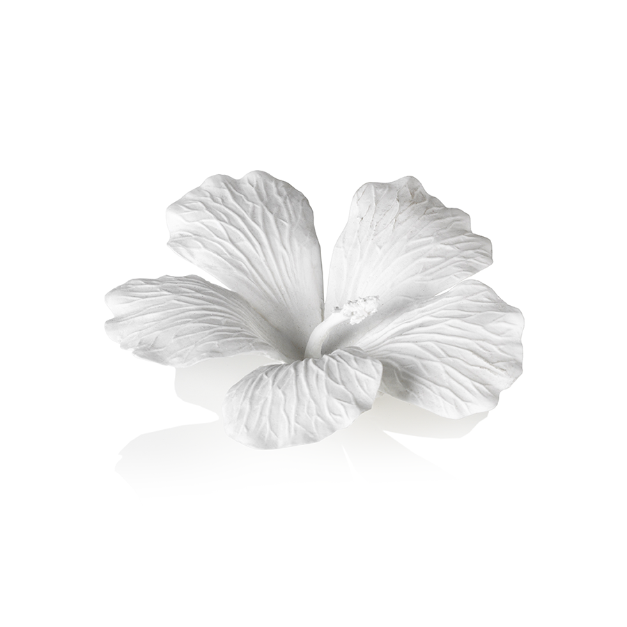 Bone China Hibiscus (for table top or can hang)