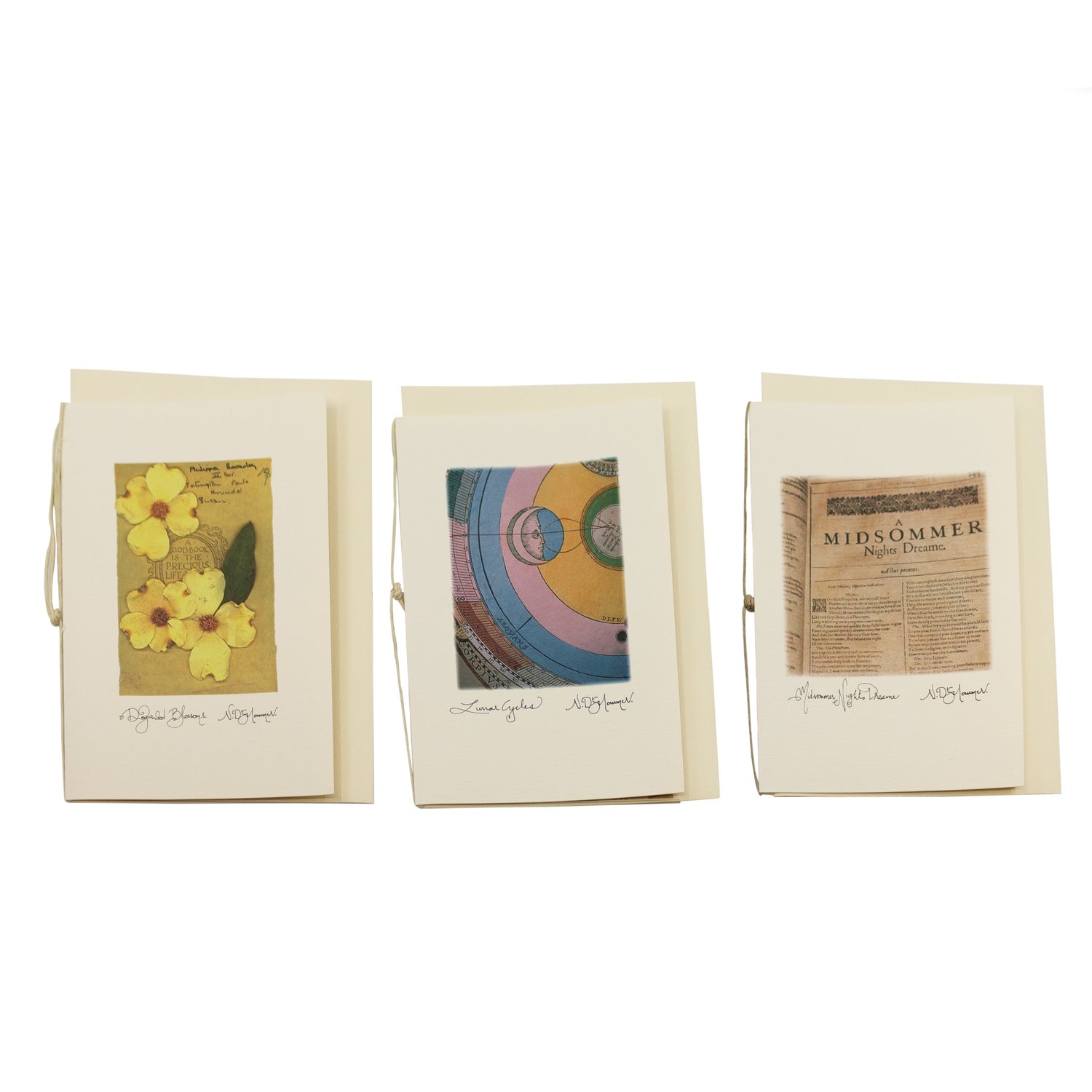 Card by Natasha D'Schommer