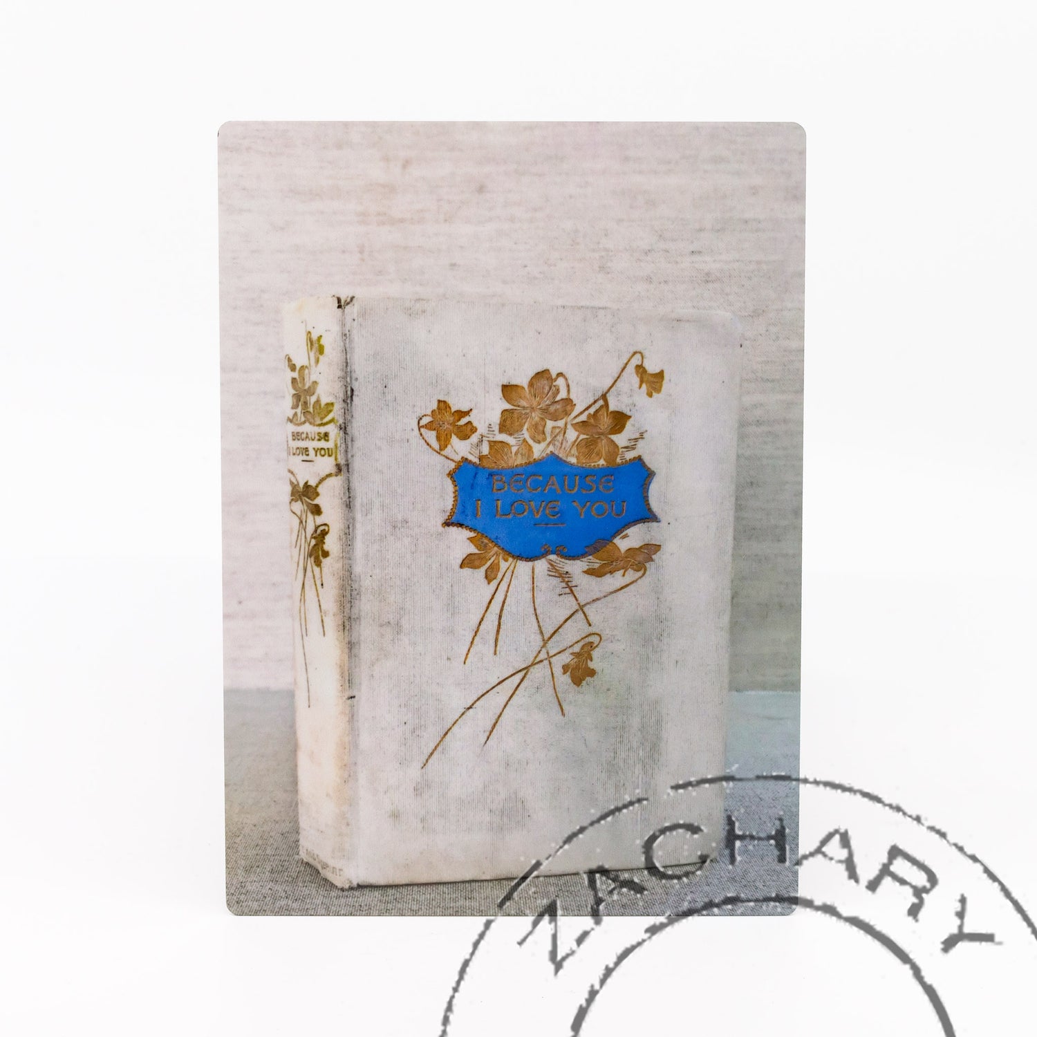 Because I Love You, Cover, Rare Book, Natasha D'Schommer, Photograph on Aluminum