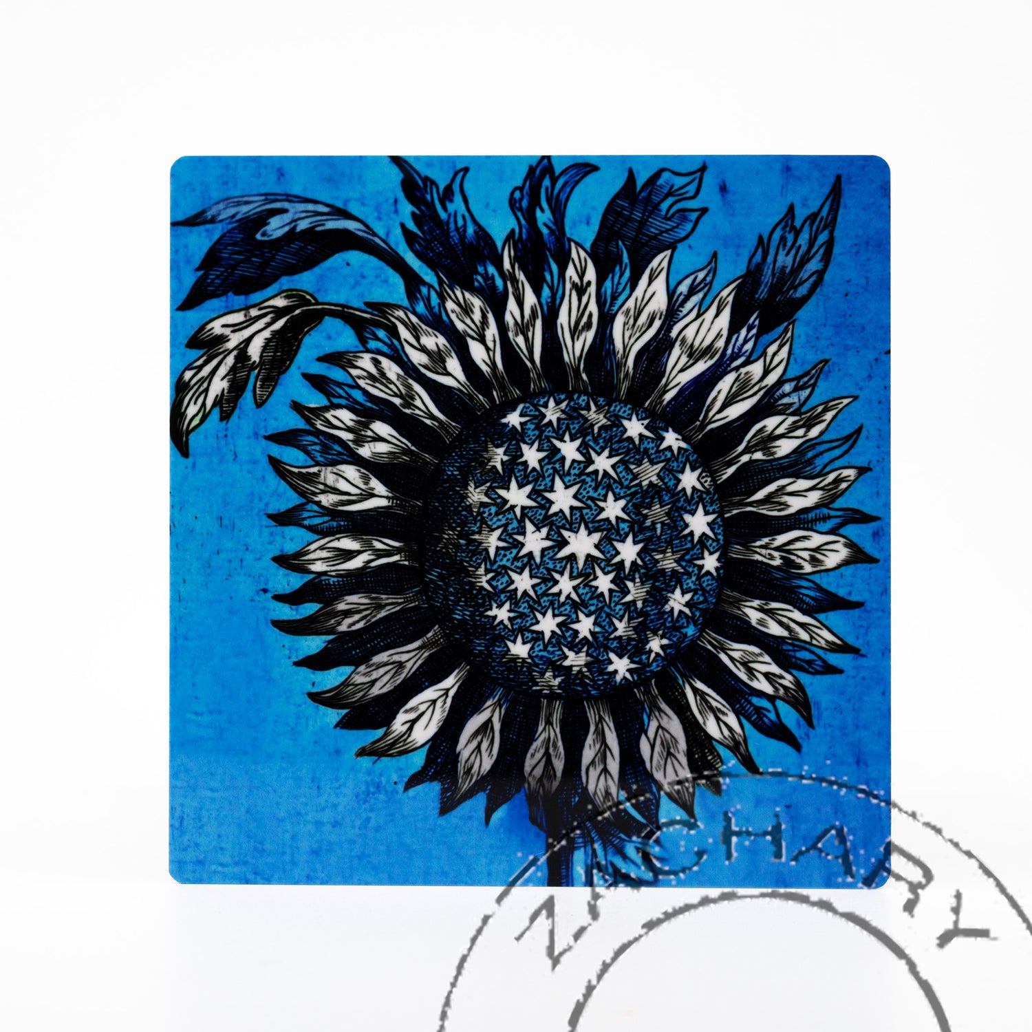 Blue Sunflower, 18th c., Andersen Horticultural Library, Natasha D'Schommer, Photograph on Aluminum