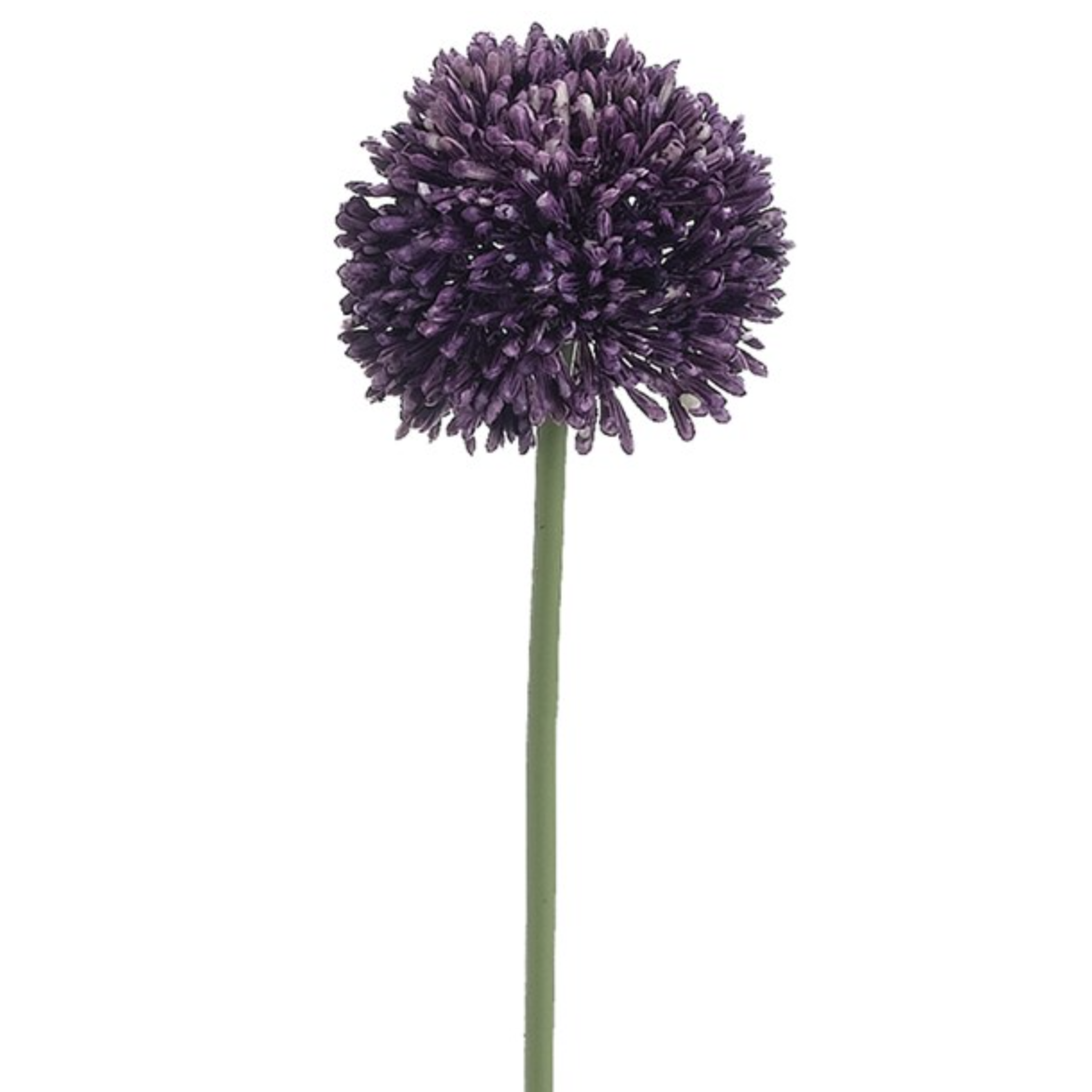 Allium Spray