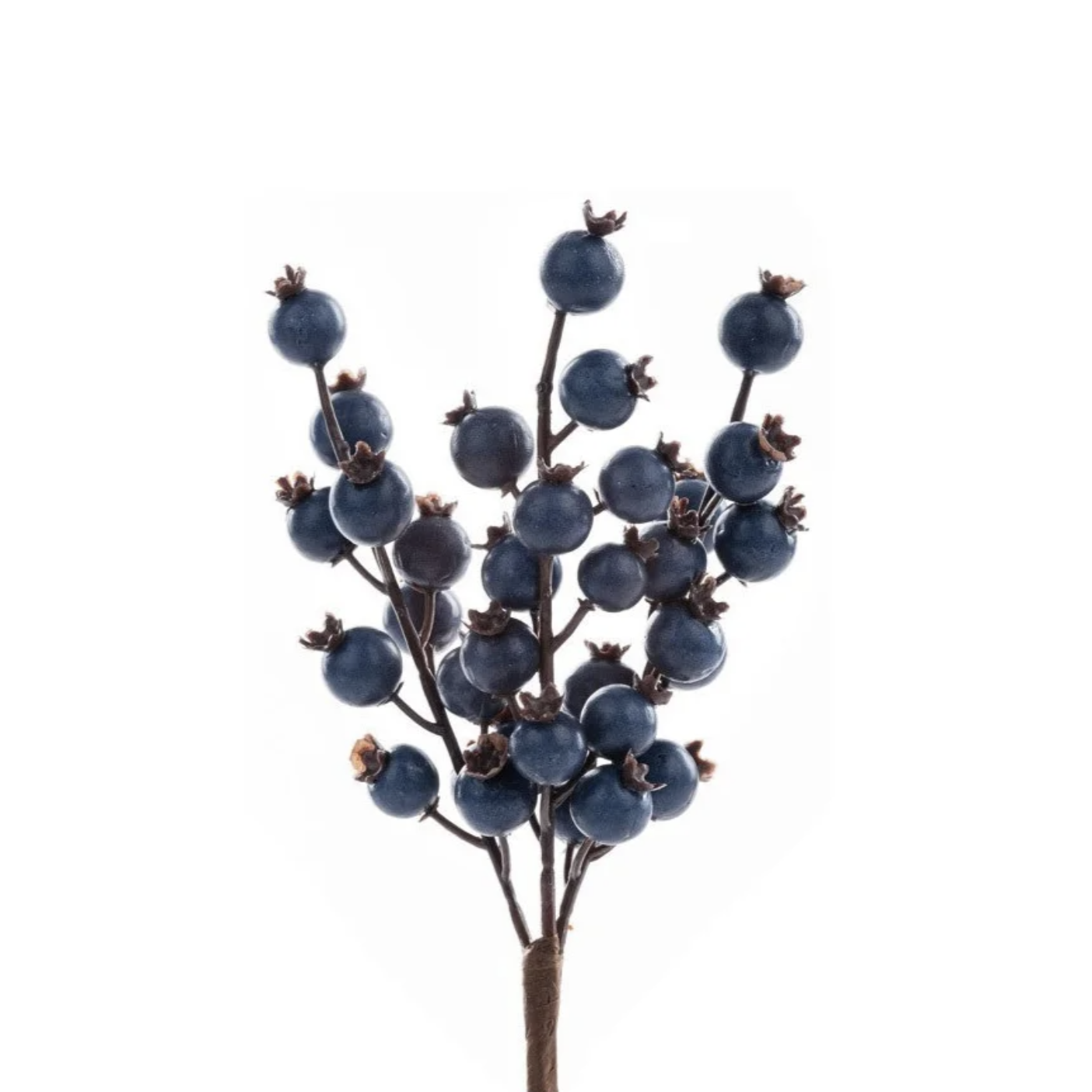 Blueberry Spike Pick, 8"