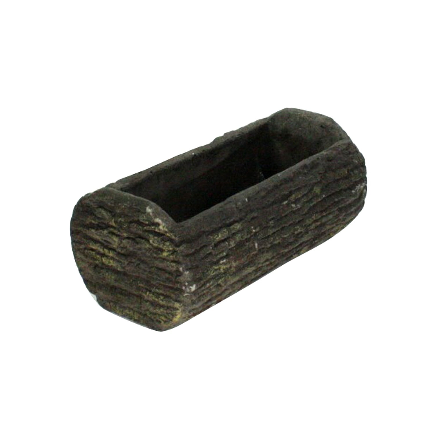Cement Cypress Container