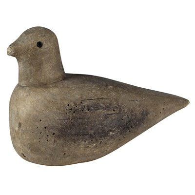 Wood Dove