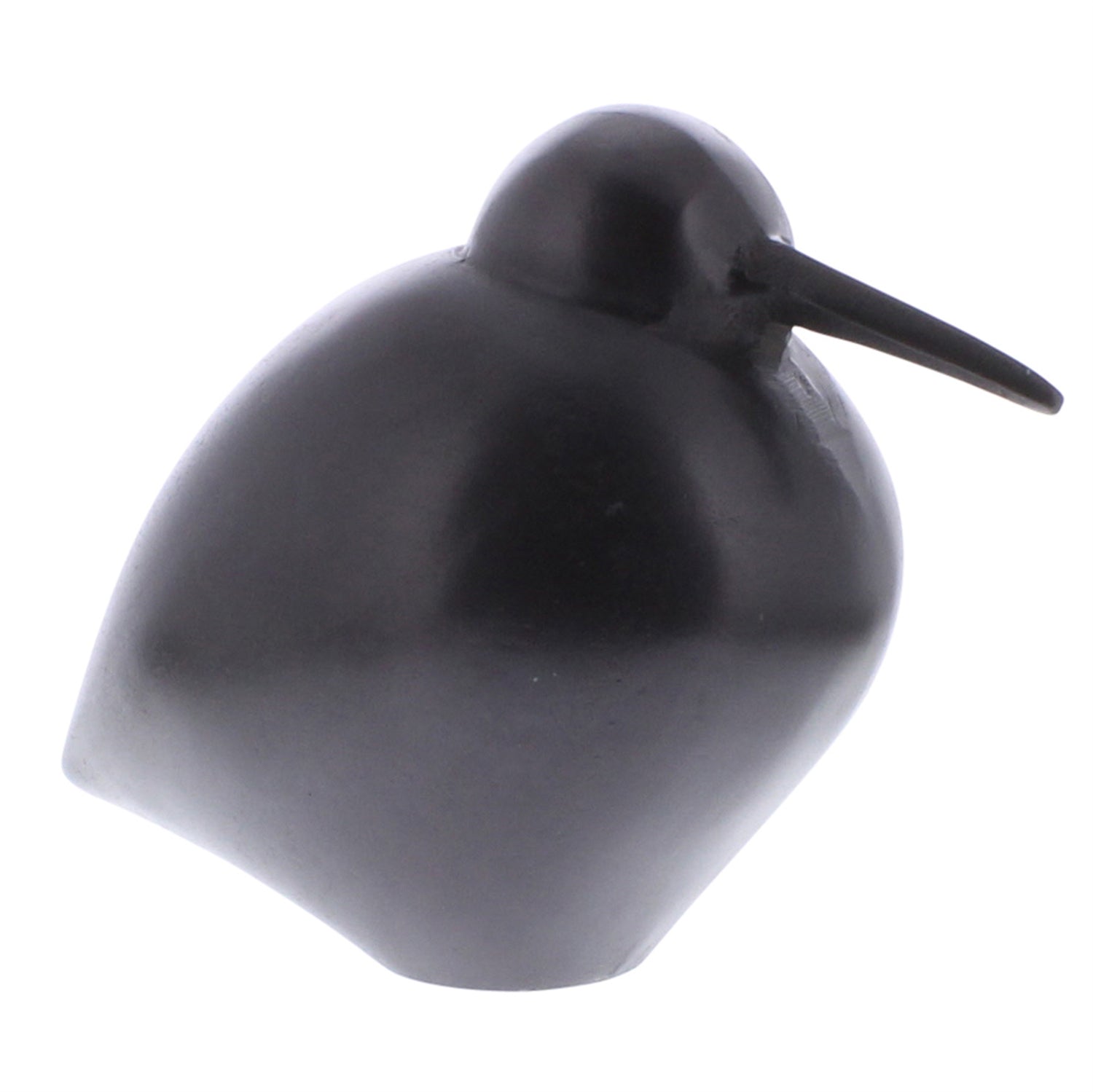 Bronze Kiwi Bird