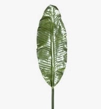 Banana Leaf