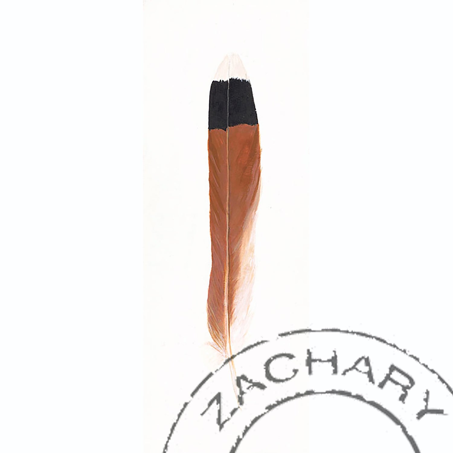 American Kestrel Feather, Janella Fesenmaier, Limited Edition Print