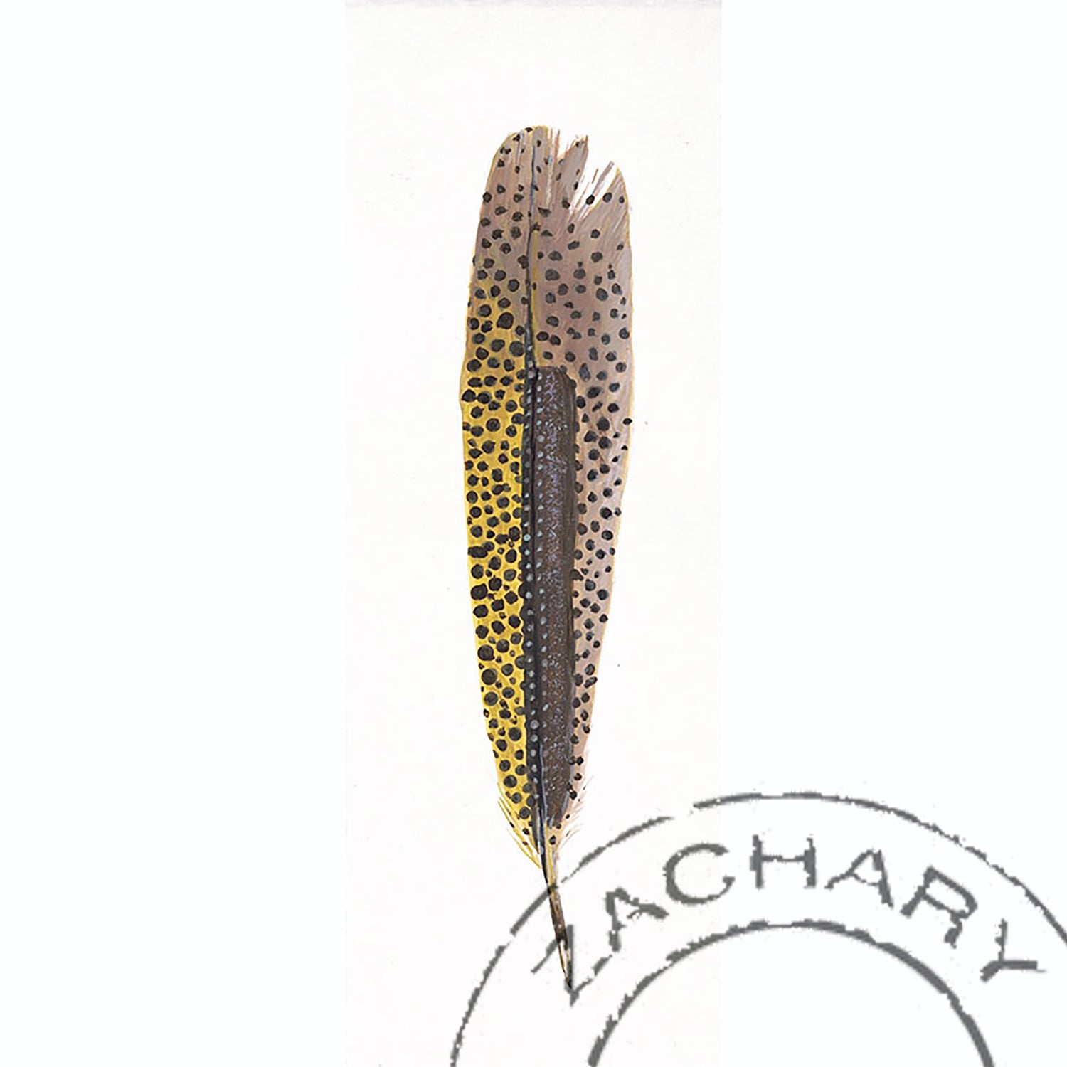 Argus Pheasant Feather, Janella Fesenmaier, Limited Edition Print