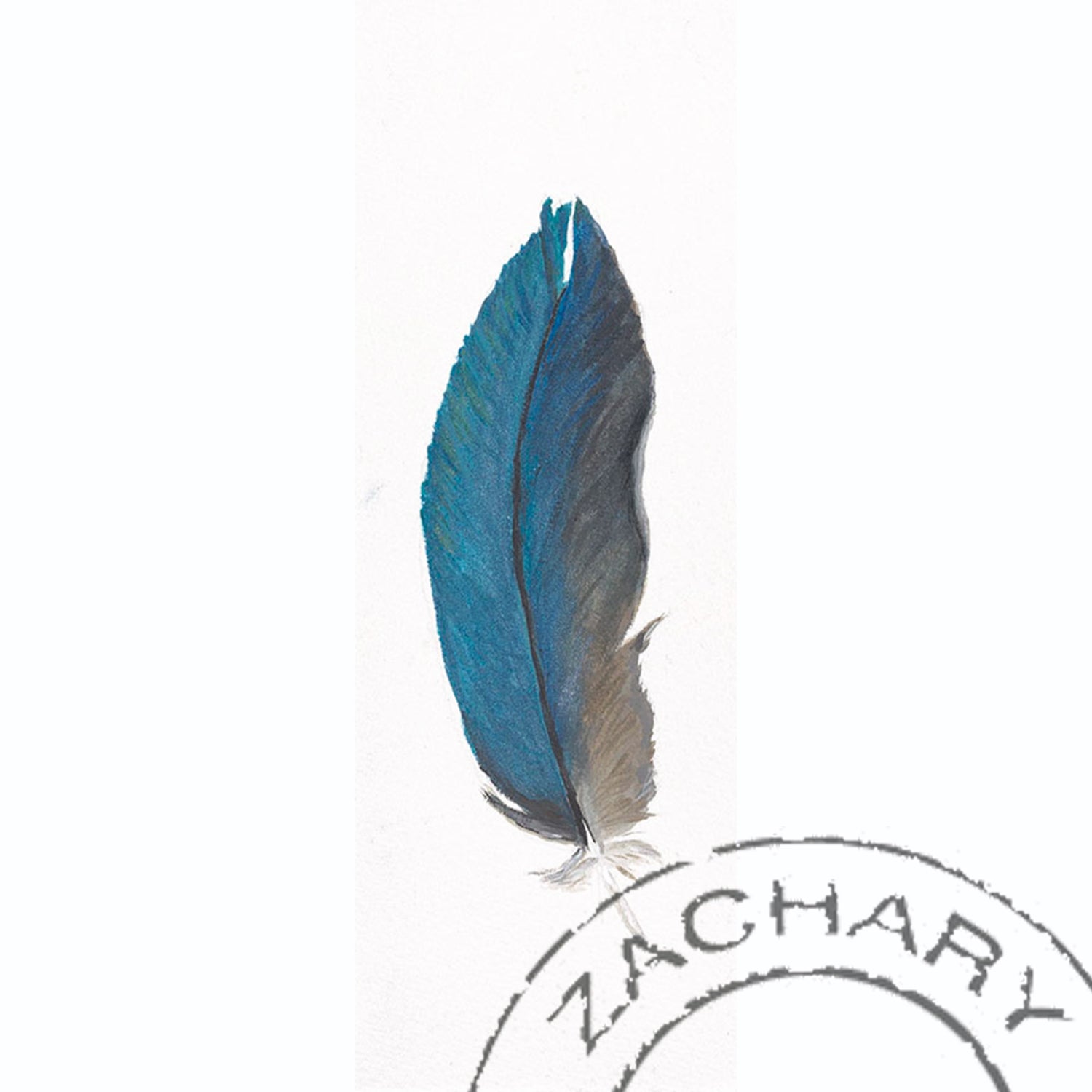 Blue Fronted Amazon Feather, Janella Fesenmaier, Limited Edition Print