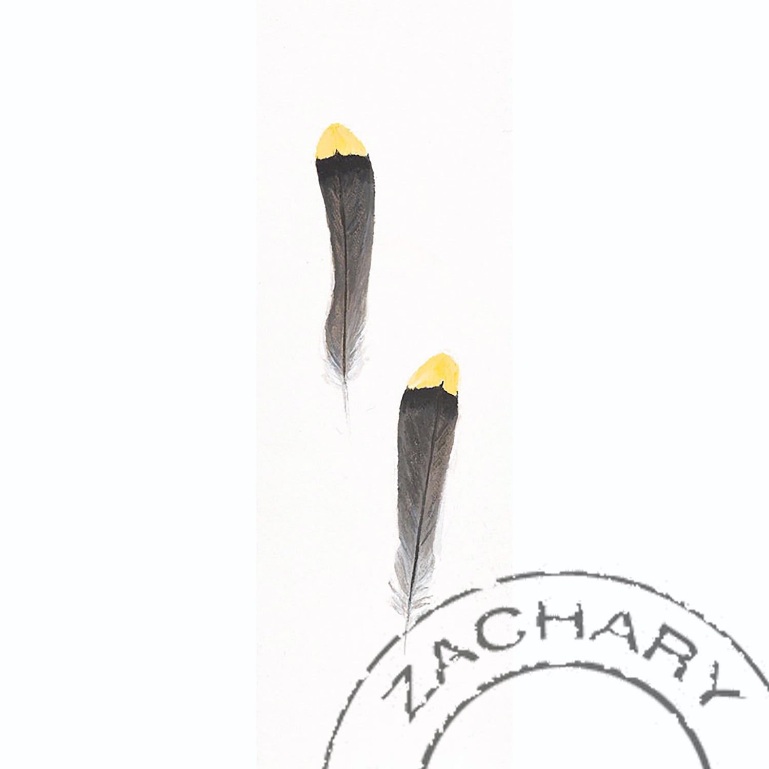 Cedar Waxwing Feather, Janella Fesenmaier, Limited Edition Print