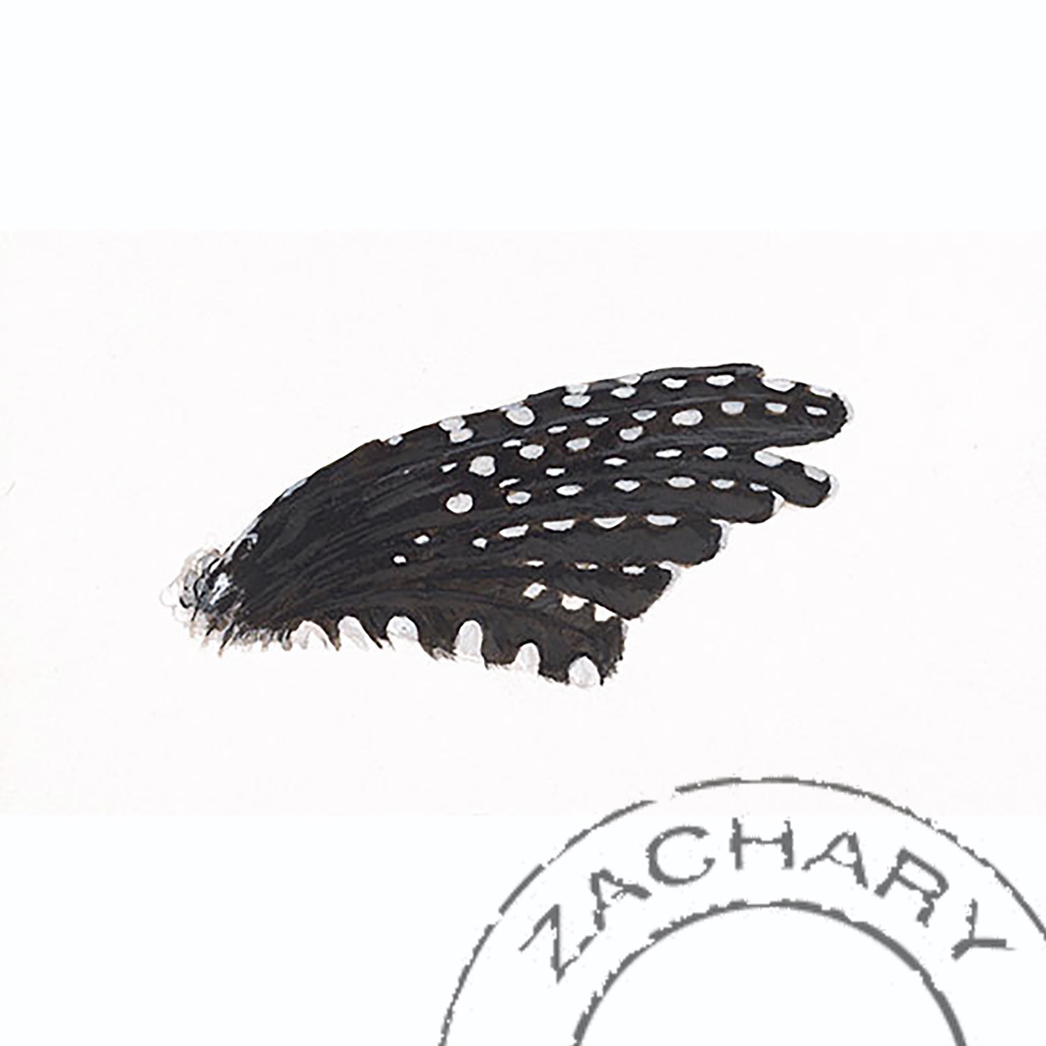 Downy Woodpecker Wing Feather, Janella Fesenmaier, Limited Edition Print