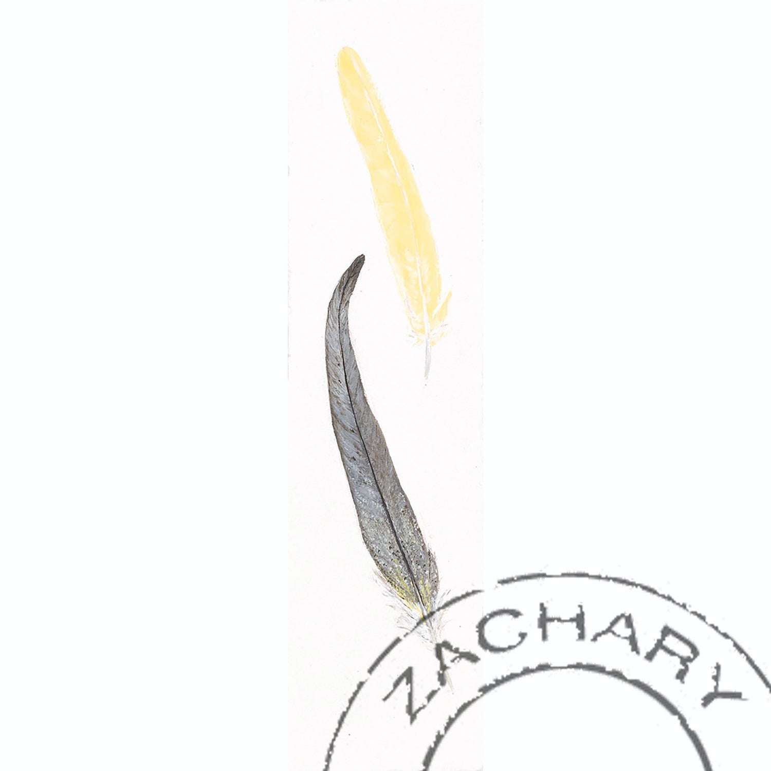 Pearl & Yellow Cockatiel Feather, Janella Fesenmaier, Limited Edition Print