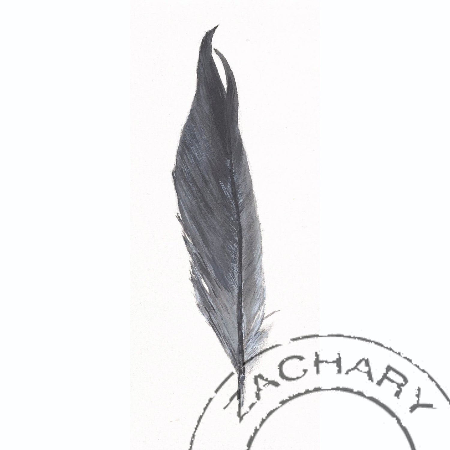 African Grey Feather, Janella Fesenmaier, Limited Edition Print