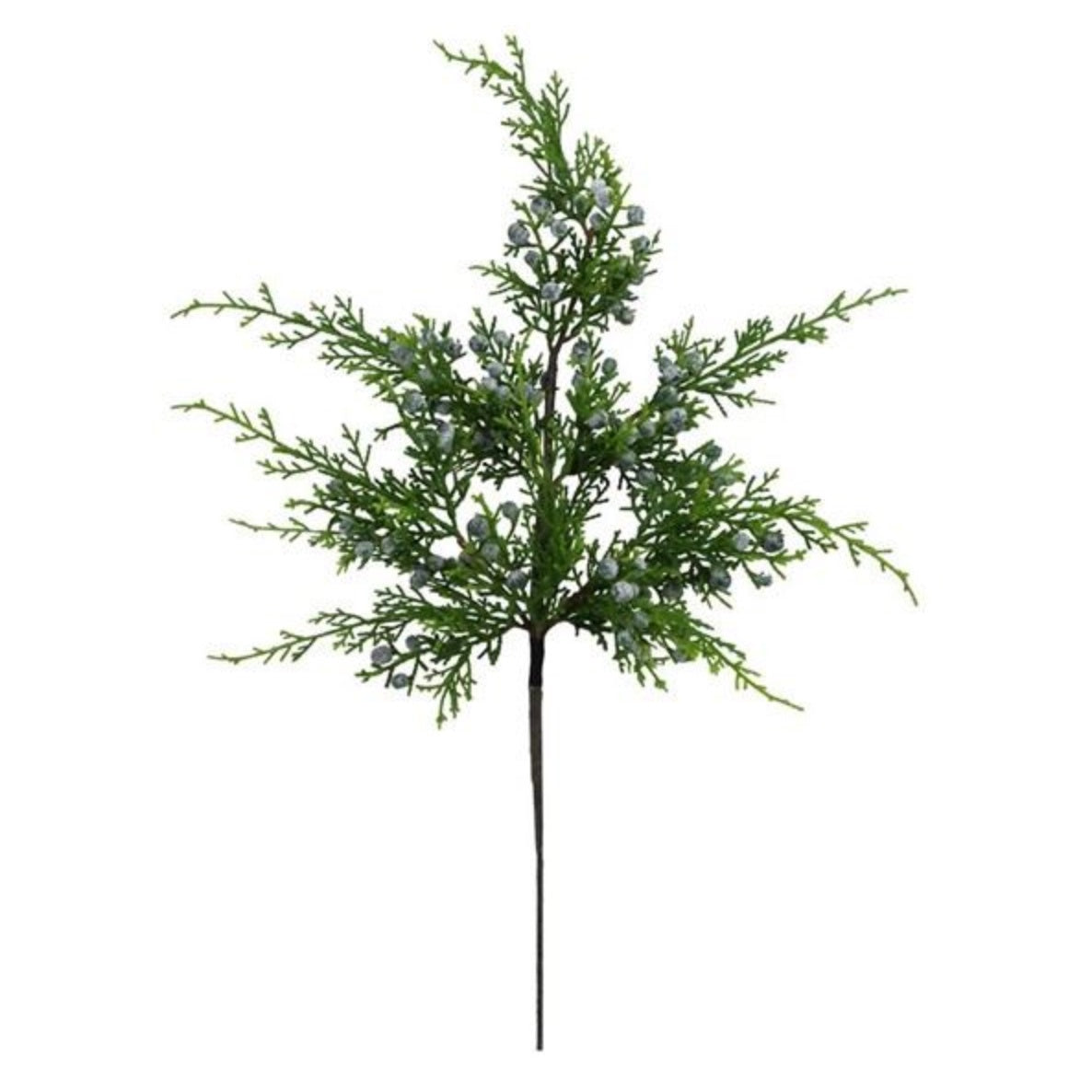 Oregon Juniper Spray