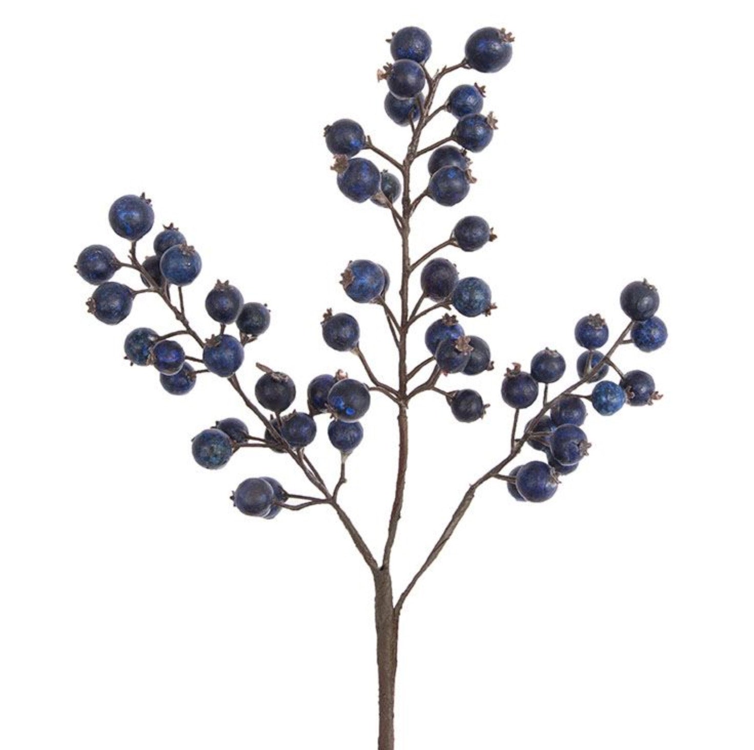 Blueberry Pick, 15"
