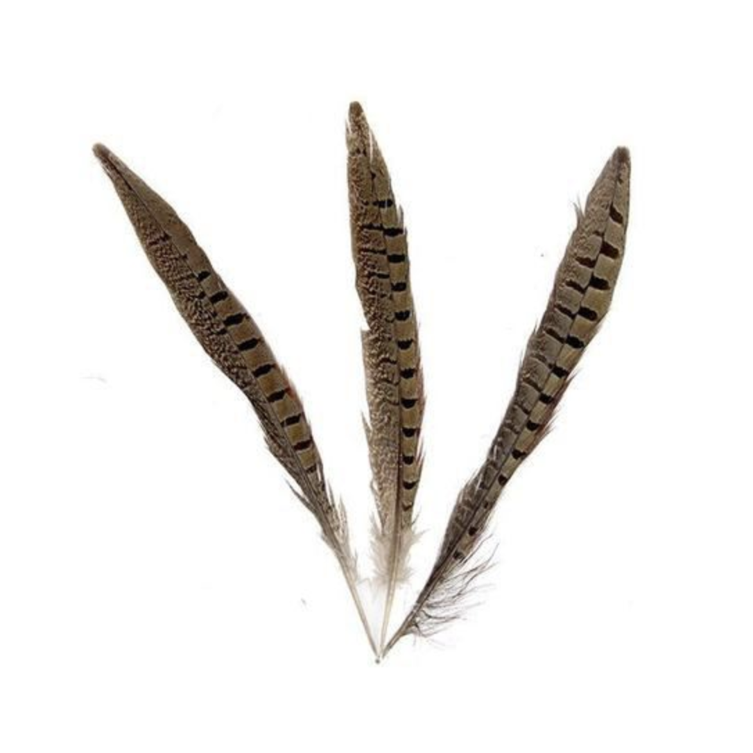 Pheasant Feather