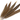 Golden Pheasant Feather