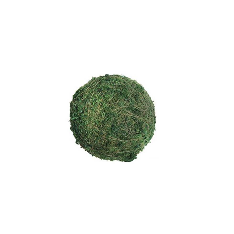 Mini Moss Ball, 2.5"dia