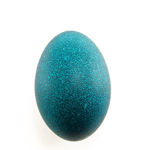 Emu Egg