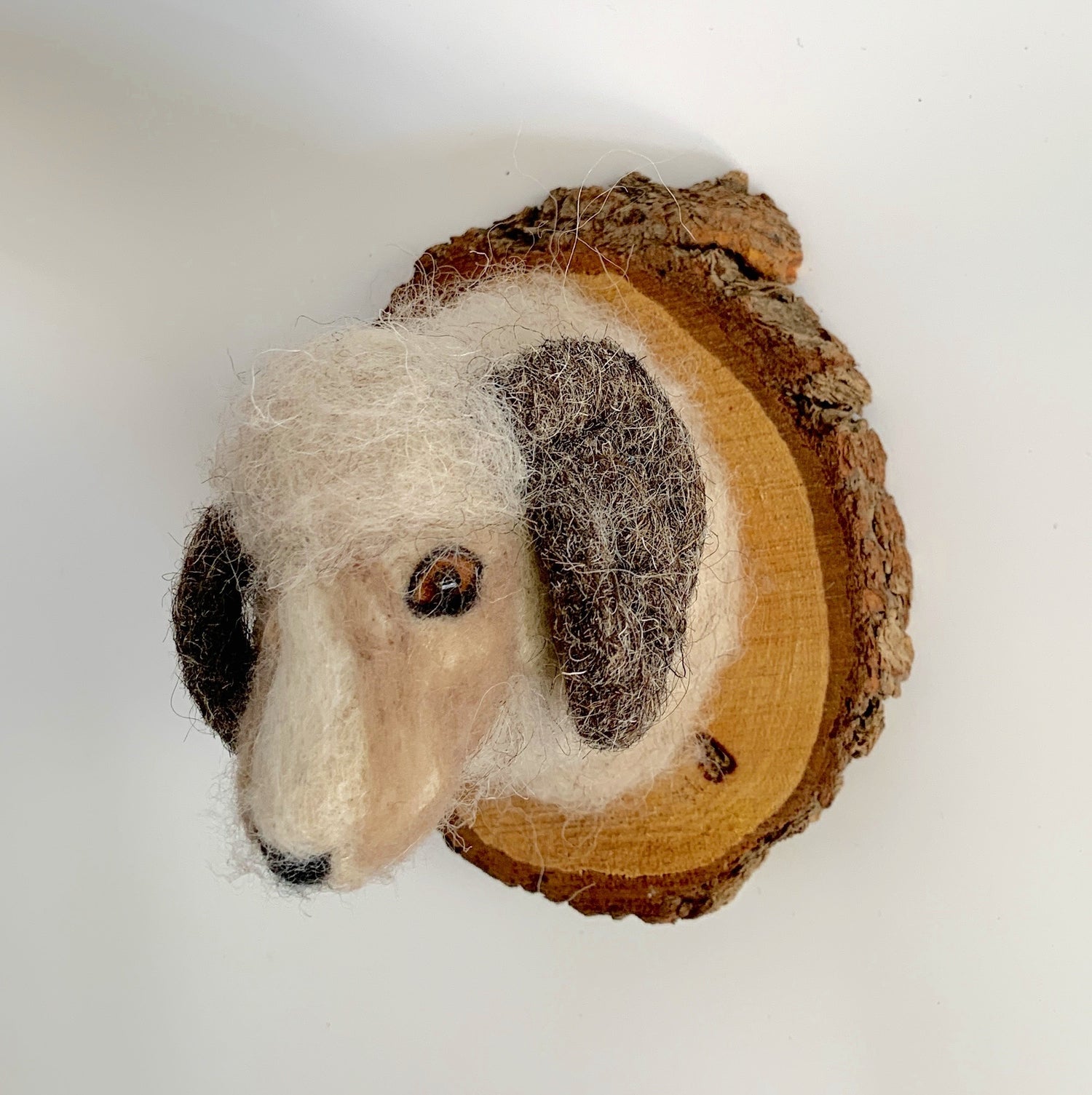 Wooly Sheep Felt Mount