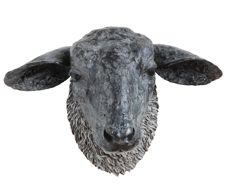 Black Sheep Head