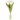 Real-Touch Tulips Bundle of 6, White, 14.5"h