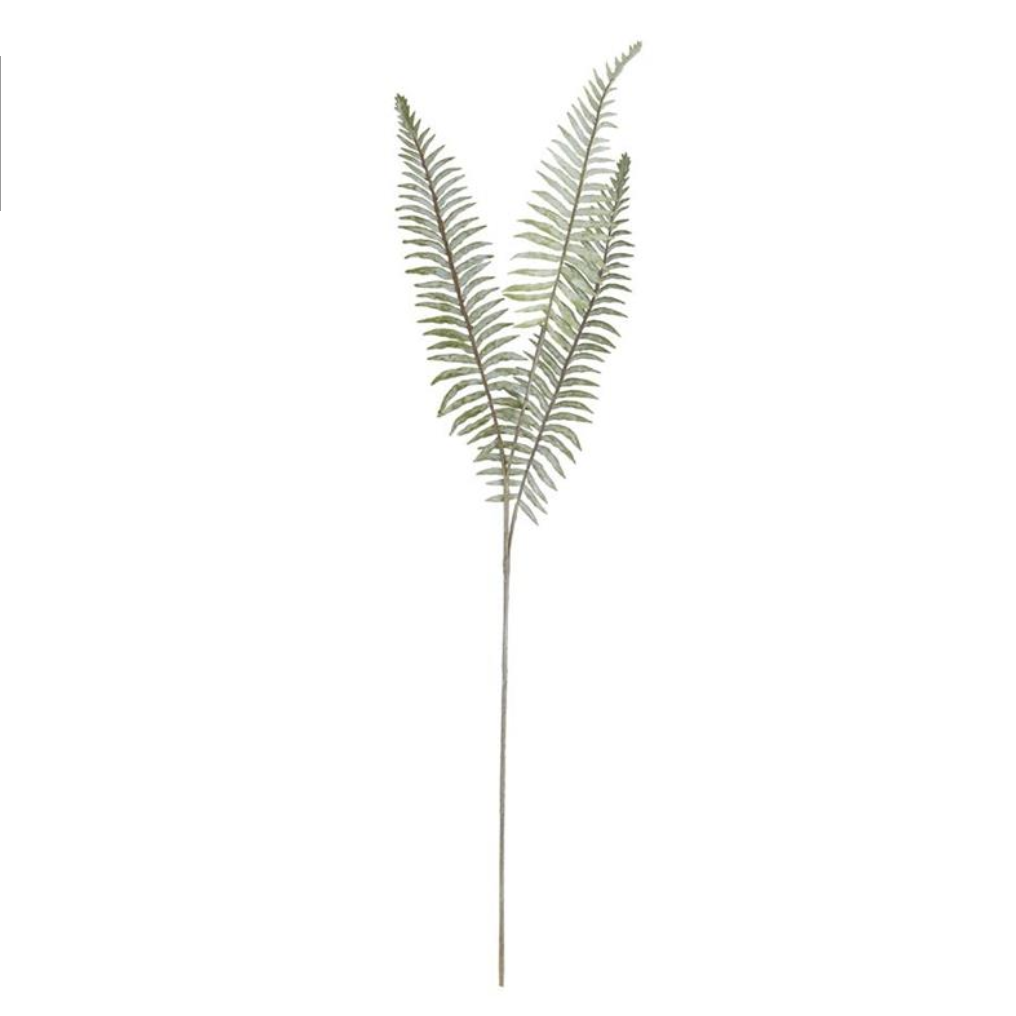 Boston Fern Stem, 36"h