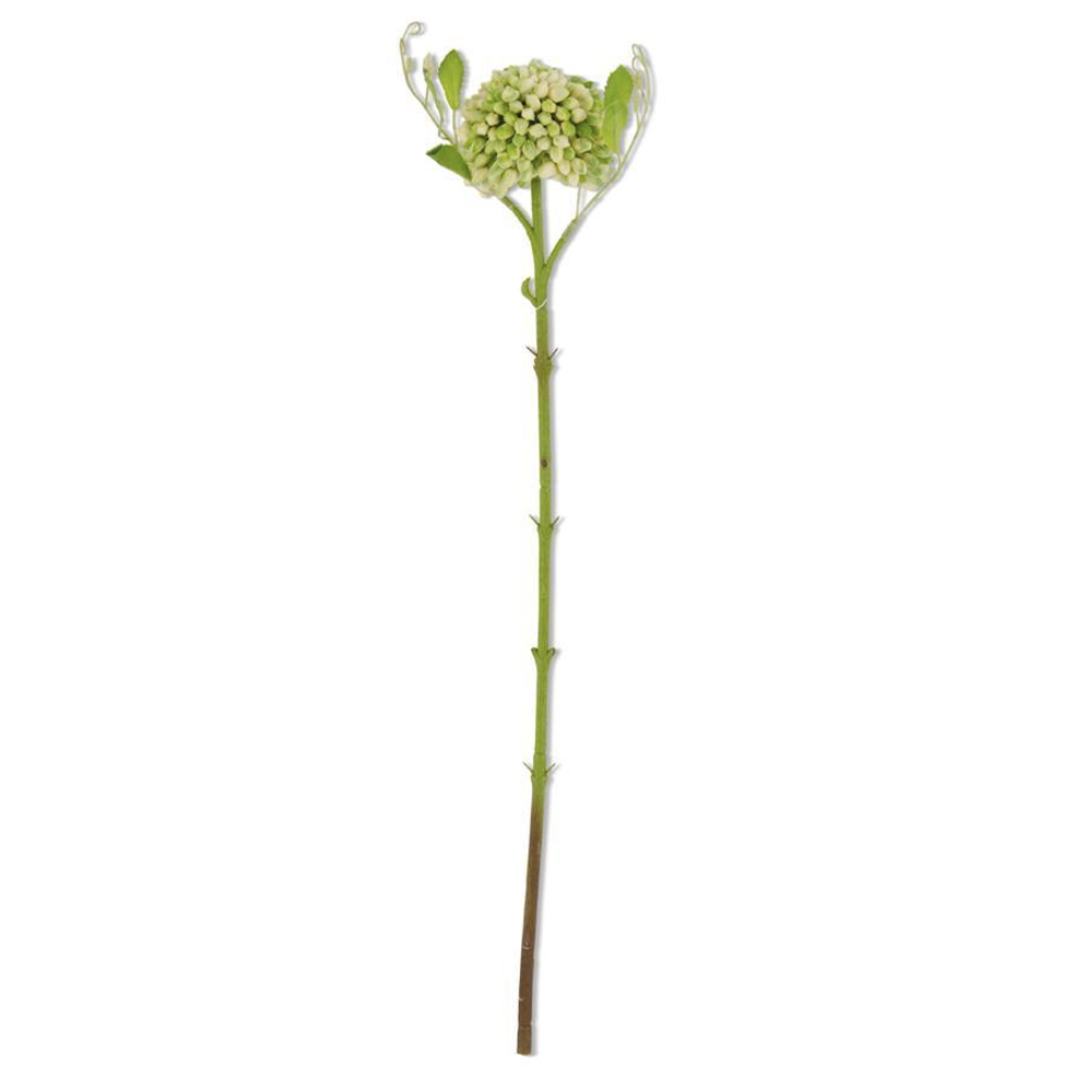 Green Sedum Stem, 20"h