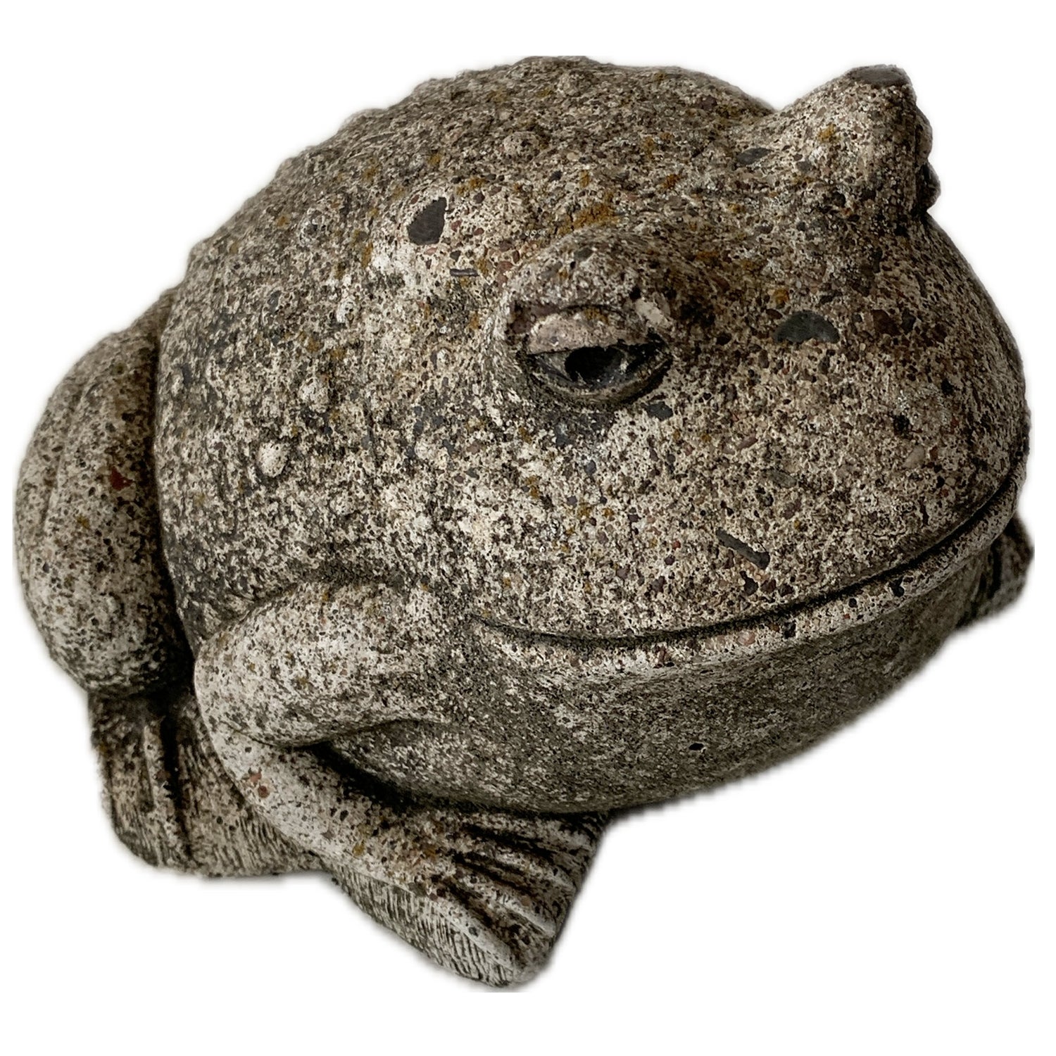 Cement Garden Toad