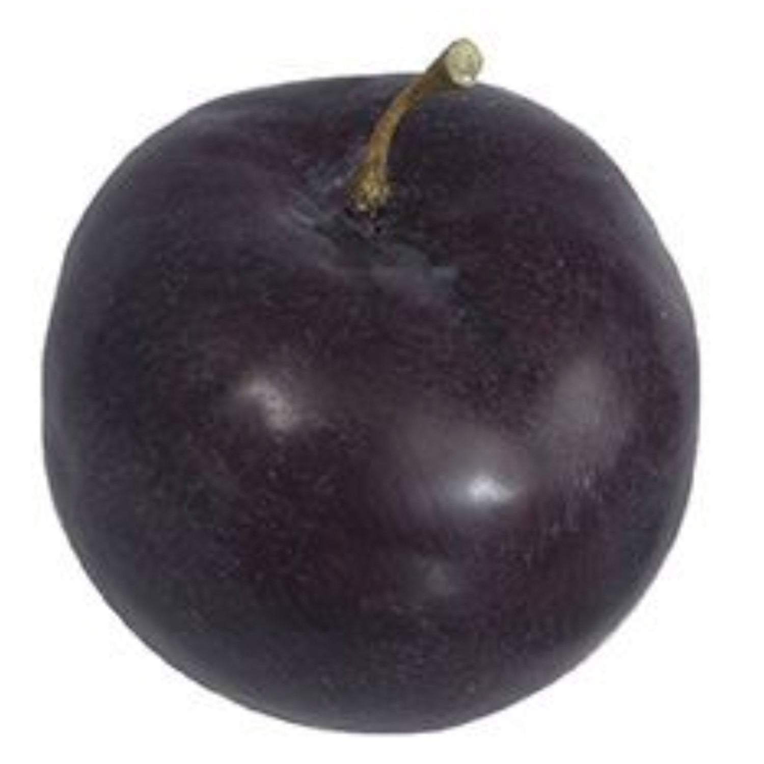 Santa Rosa Black Plum