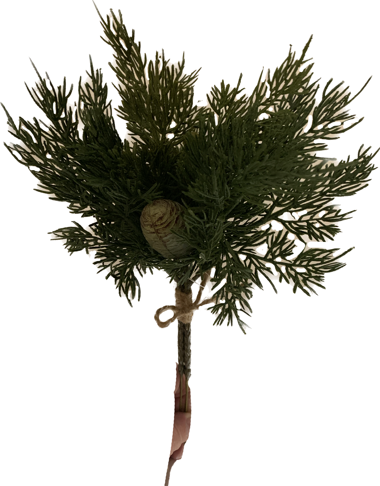 Cedar Bundle of 3