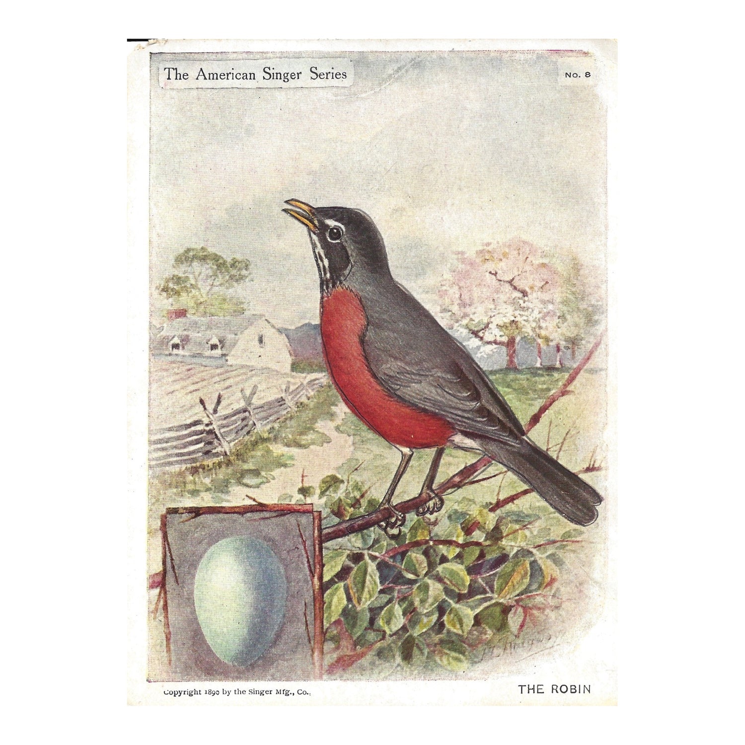 Small Vintage Bird Print